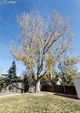 8361 Dolly Madison Drive