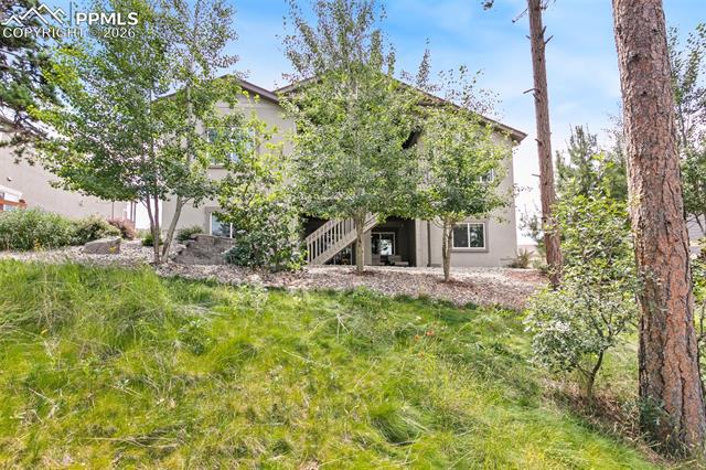 968 Tree Bark Terrace