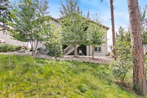 968 Tree Bark Terrace