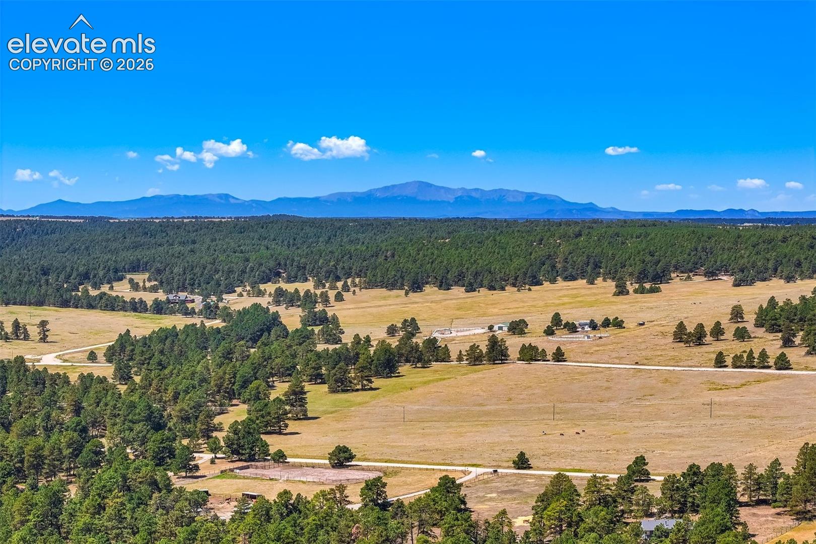 18771 Smokey Pine Road