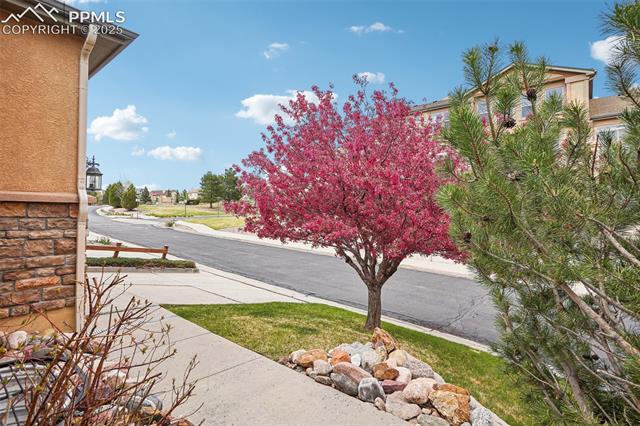 4551 Scarlet Drive