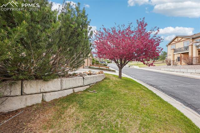 4551 Scarlet Drive
