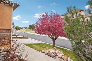 4551 Scarlet Drive