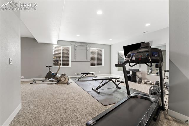 10622 Abrams Drive