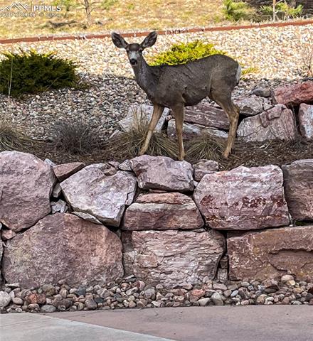 15879 Wildhaven Lane