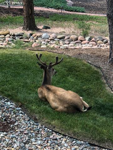 15879 Wildhaven Lane