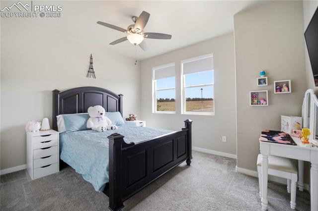 11184 Tranquil Water Drive