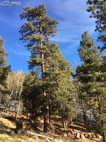 6800 Eagle Mountain Road
