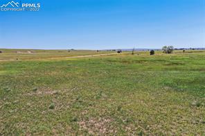 14775 Tiboria Loop
