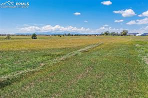 14775 Tiboria Loop