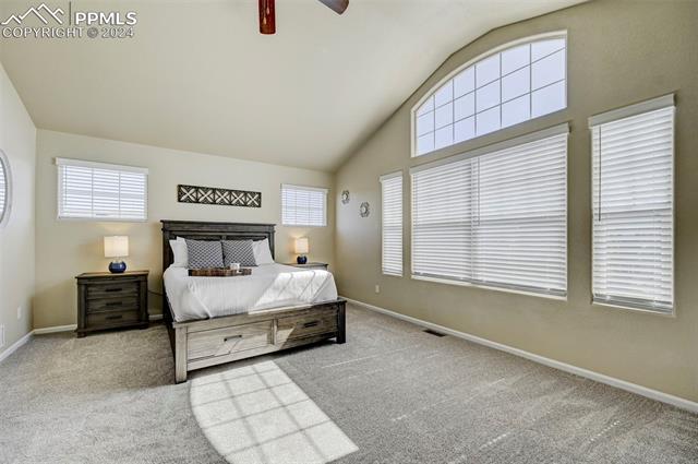 8276 Wagon Spoke Trail