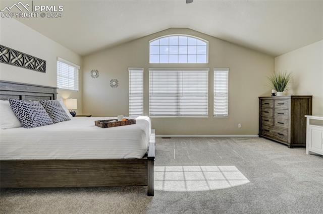 8276 Wagon Spoke Trail