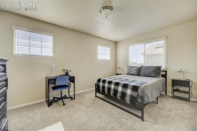 8276 Wagon Spoke Trail