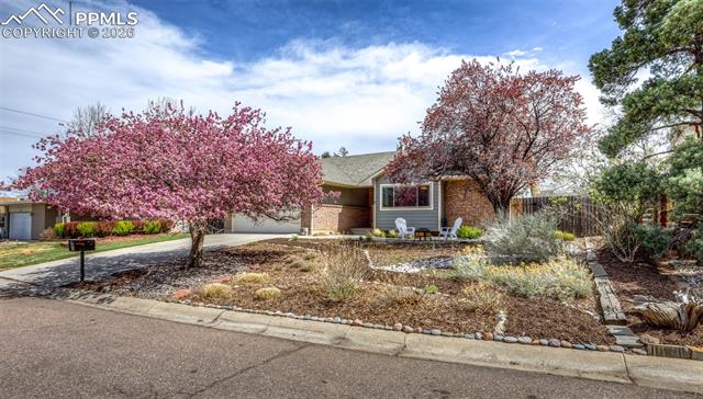 139 Palisade Circle