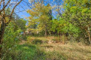 2036 Ridgeway Avenue