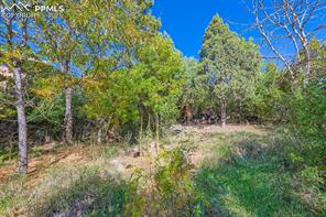 2036 Ridgeway Avenue