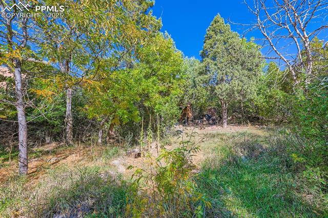 2036 Ridgeway Avenue