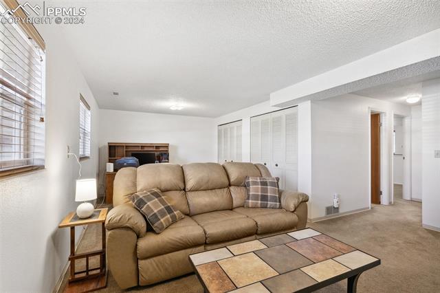 7030 Woody Creek Drive