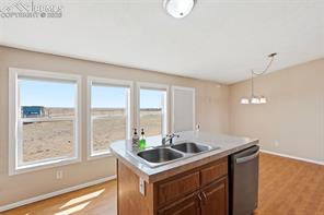 205 Longhorn Cattle Drive