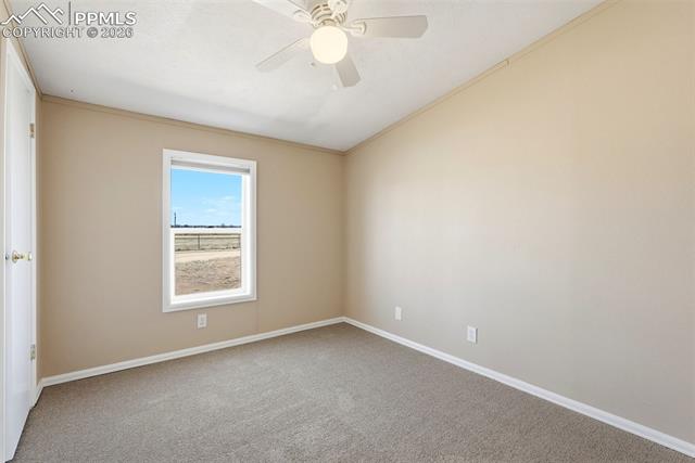 205 Longhorn Cattle Drive