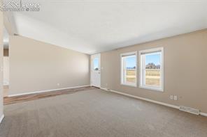 205 Longhorn Cattle Drive