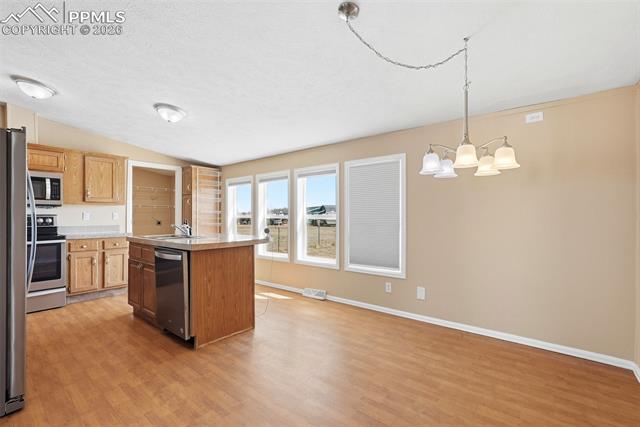 205 Longhorn Cattle Drive