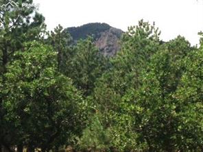 667 Silver Oak Grove