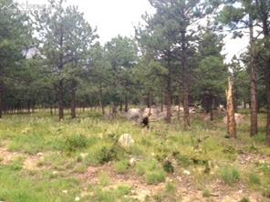 667 Silver Oak Grove