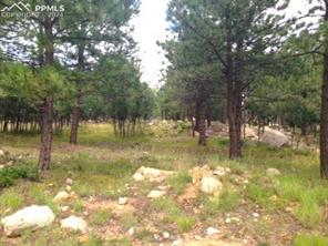 667 Silver Oak Grove