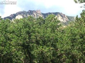 667 Silver Oak Grove