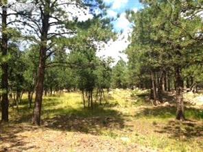 667 Silver Oak Grove