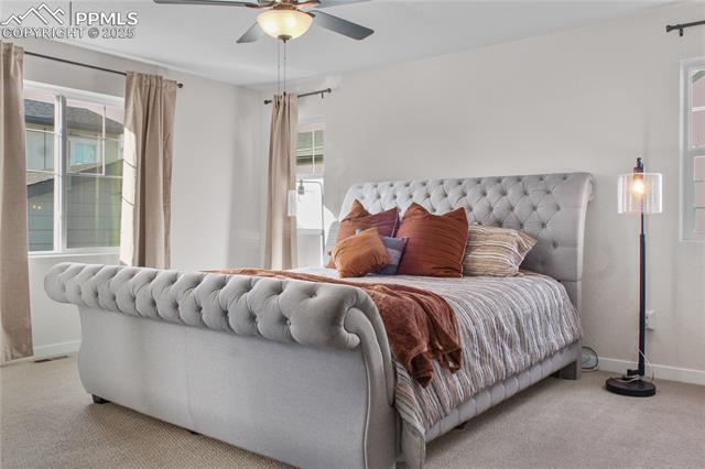 5869 Spring Breeze Drive