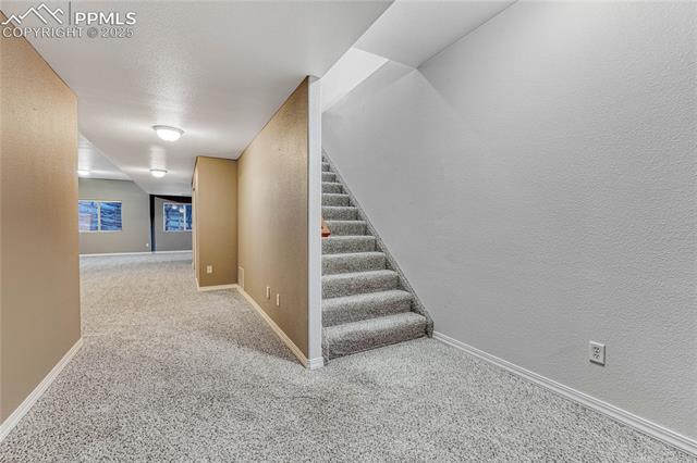 5565 Canvasback Court