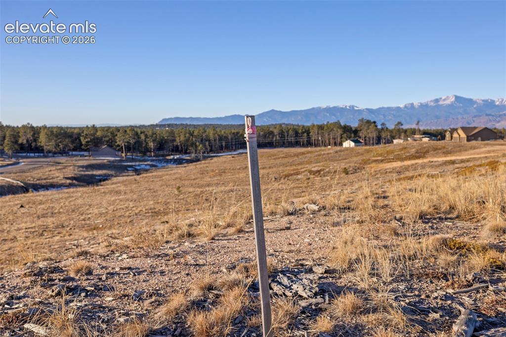 12692 Eagle Forest Drive