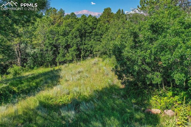 141 Dolomite Drive
