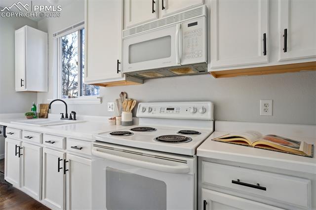 2532 Pony Tracks Drive