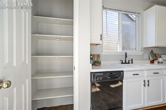 2532 Pony Tracks Drive