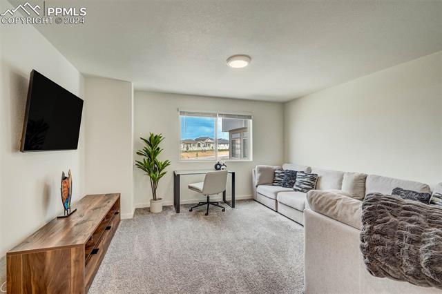 6974 Silvergrass Drive