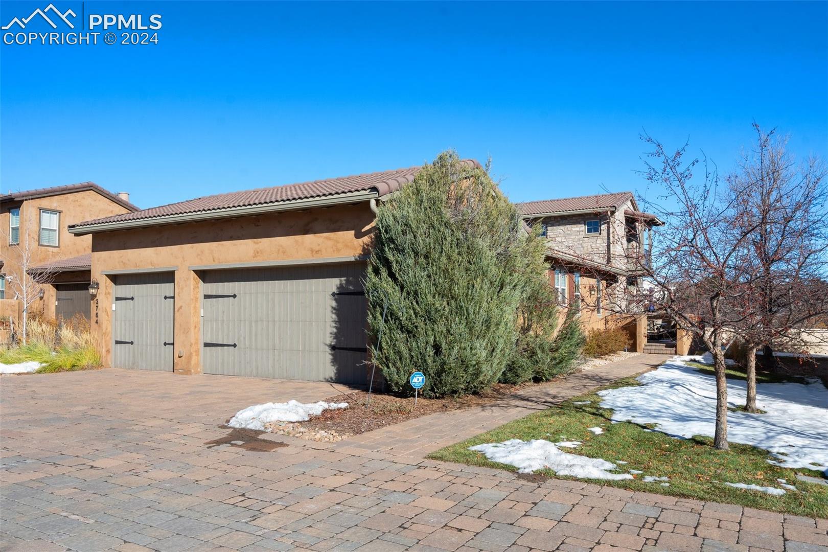 3764 Palazzo Grove