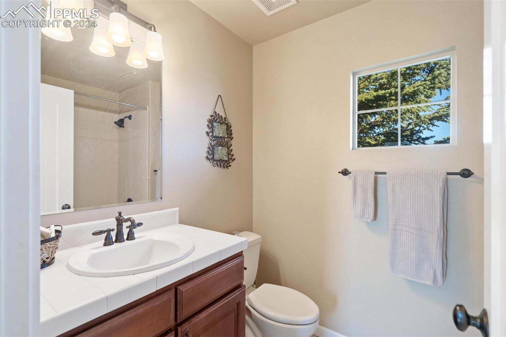 3764 Palazzo Grove