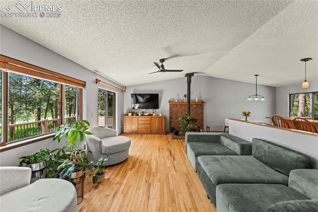 15845 Roller Coaster Road