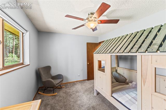 15845 Roller Coaster Road