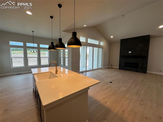 10311 Hawks Hill Court