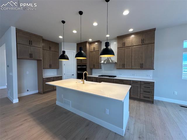 10311 Hawks Hill Court