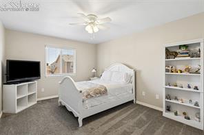 6173 Wood Bison Trail