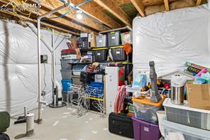 6173 Wood Bison Trail