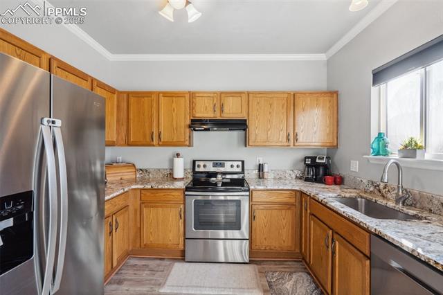 4648 Saddle Ridge Drive