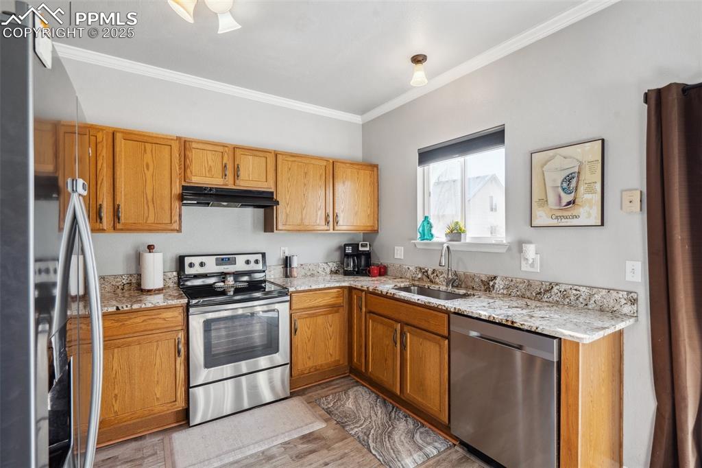 4648 Saddle Ridge Drive
