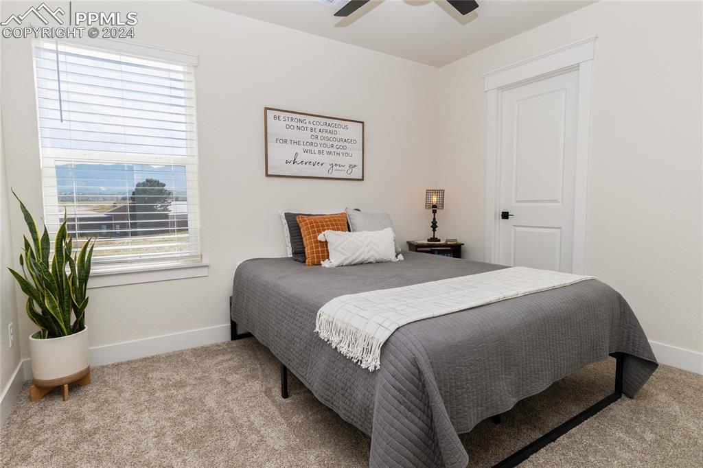 16102 Alpine Sorrel Drive