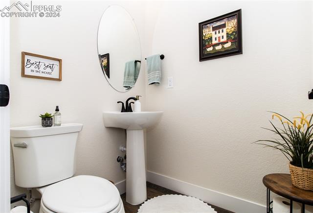 16102 Alpine Sorrel Drive